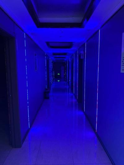 精彩照片