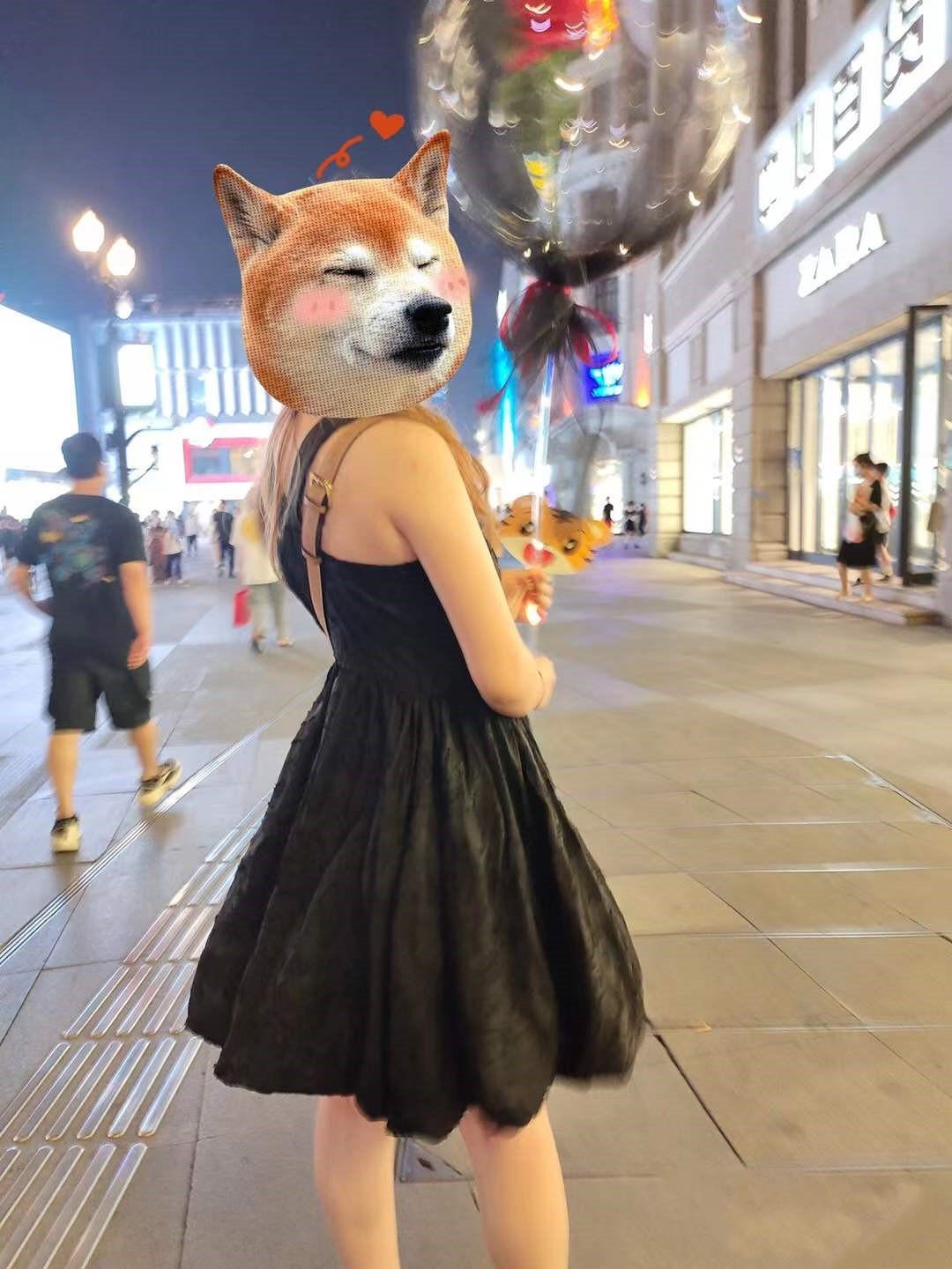 精彩照片